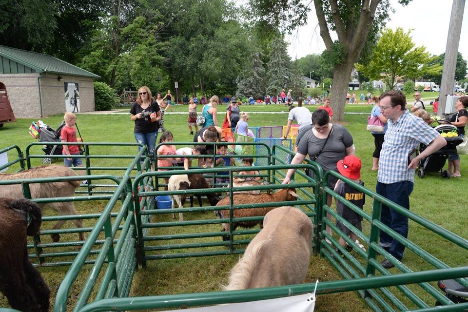 Petting Zoo